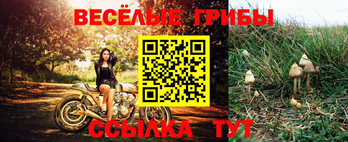 Галлюциногенные грибы Magic Shrooms  как найти   Волгодонск  Вход с VPN 